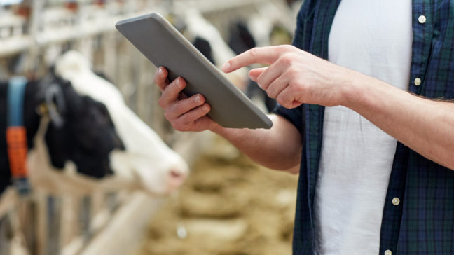 AmmuLink överför djur- och mjölkproduktionsuppgifter mellan ladugårdens produktionsstyrningssystem och Min Gård - nötprogramvaran.