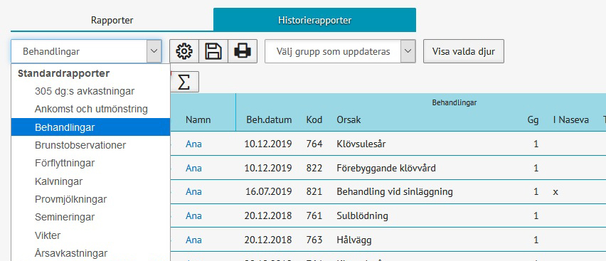 Redigerbara rapporter - historiarapporter